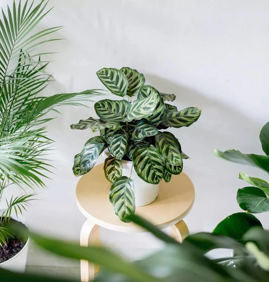 1600048219128630.jpg 微信圖片_20200914094122.jpg