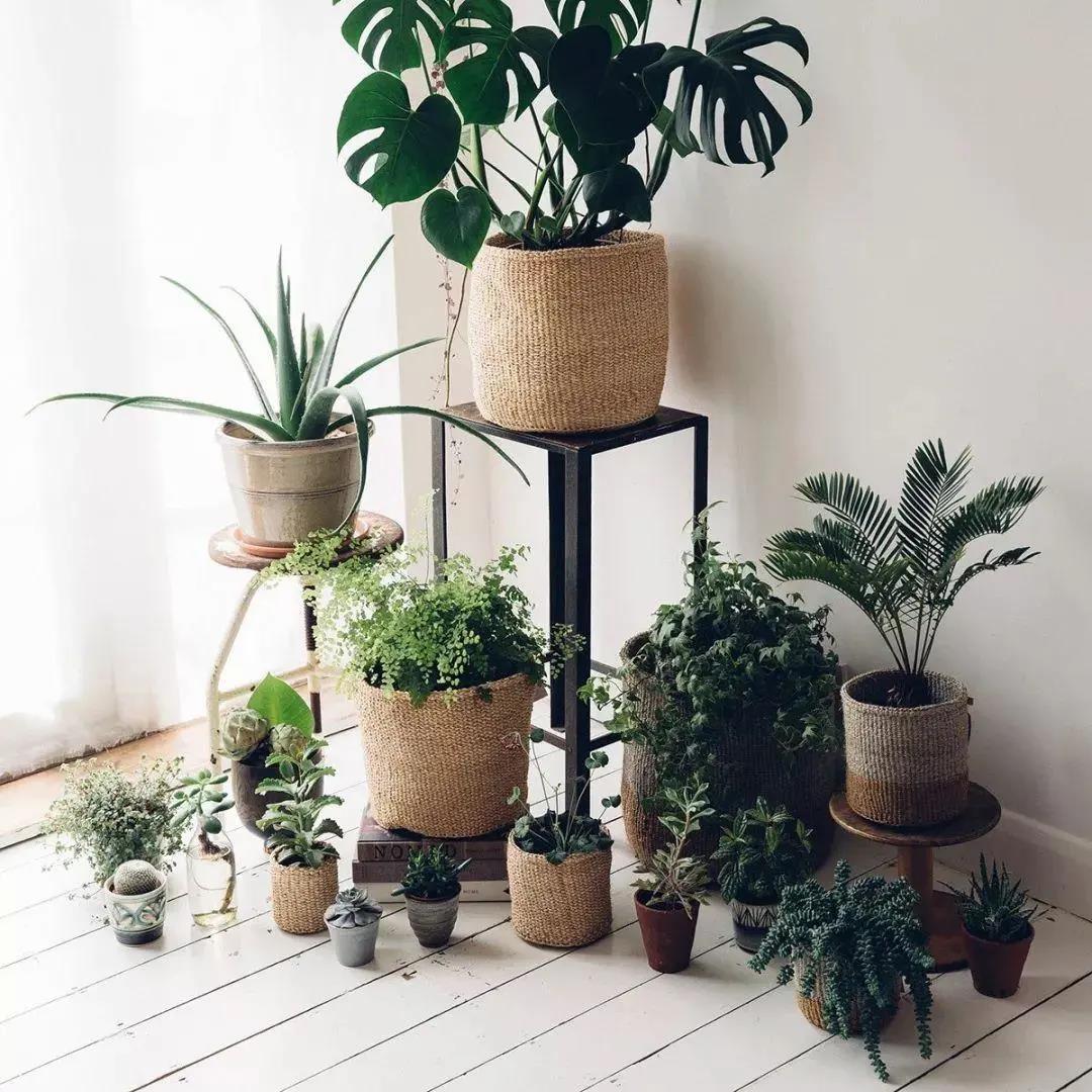 1616032703115643.jpg 微信圖片_20210318094316.jpg