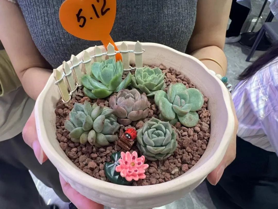 1715564544586953.jpg 微信圖片_20240513094050.jpg